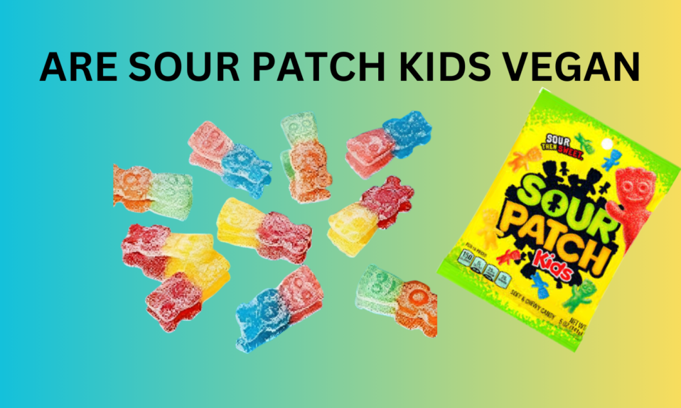 are patch kids vegan